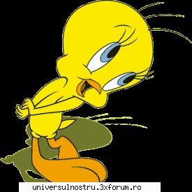 reguli niste intrebari care sunteti rugati raspundeti cat mai sincer: 1.sunteti acord regulile? alte